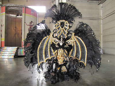 Carnival Costume